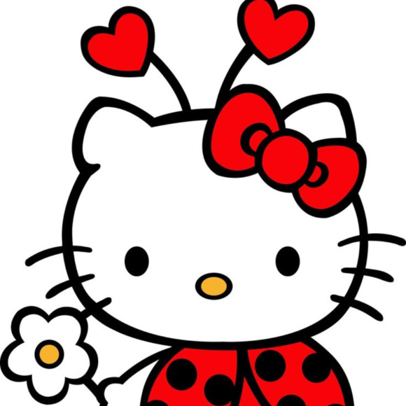 ladybug020